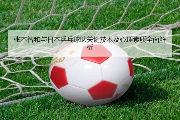 张本智和与日本乒乓球队关键技术及心理素质全面解析 | WM SPORTS